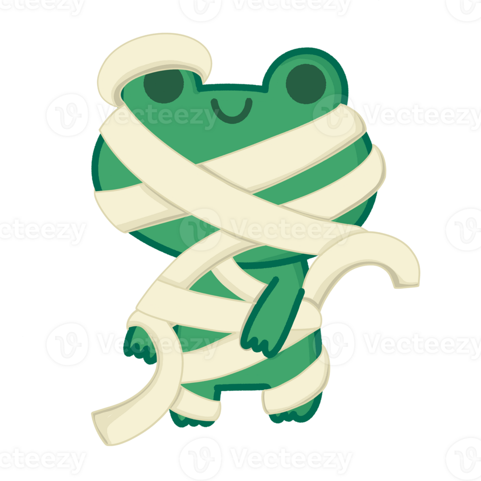 Frog in mummy png