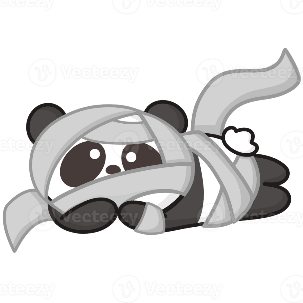 Panda in Mummy png