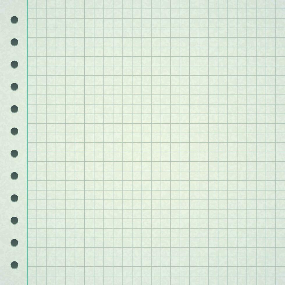 Graph Notebook Paper Sheet vector