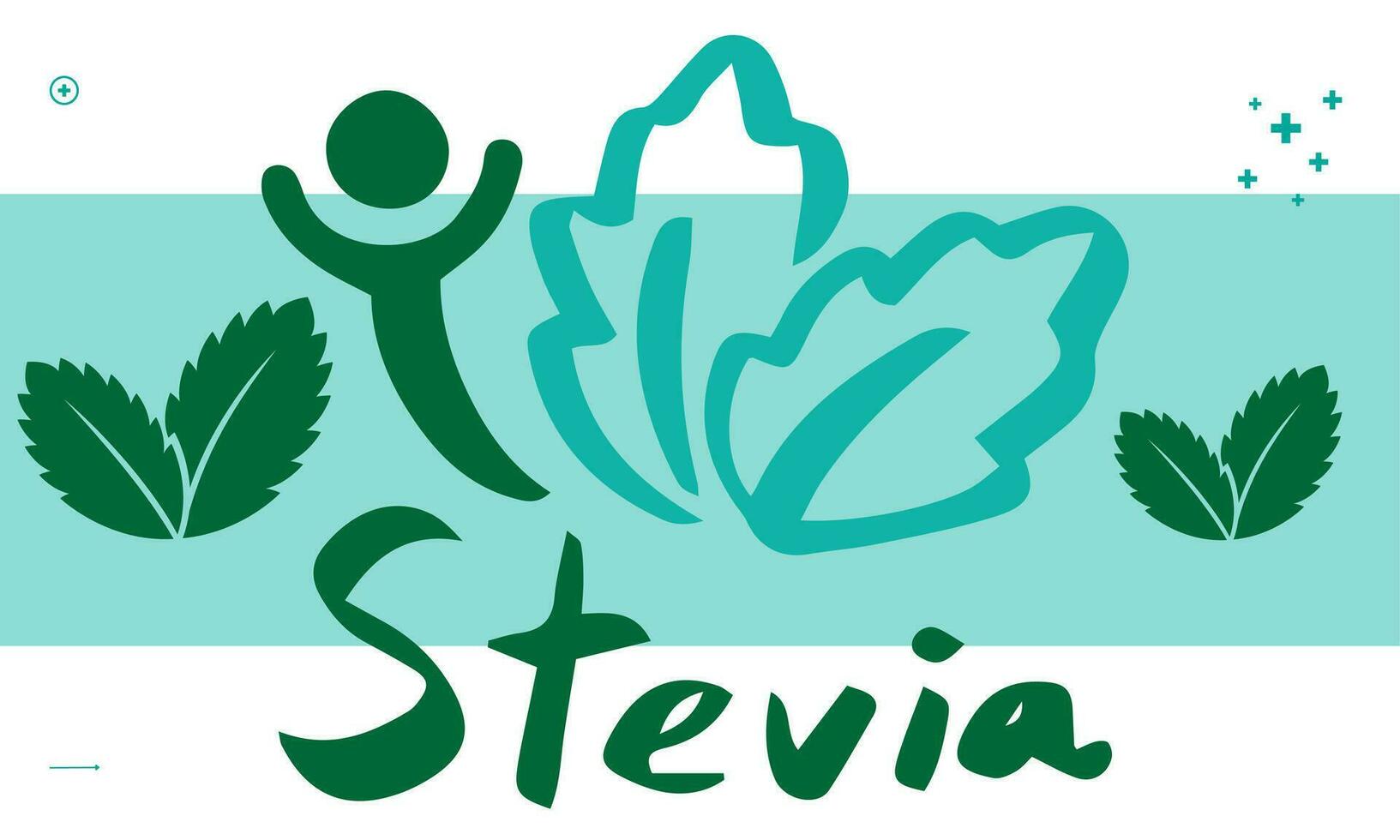 stevia edulcorante azúcar sustituir vector sano producto íconos y etiquetas ilustración