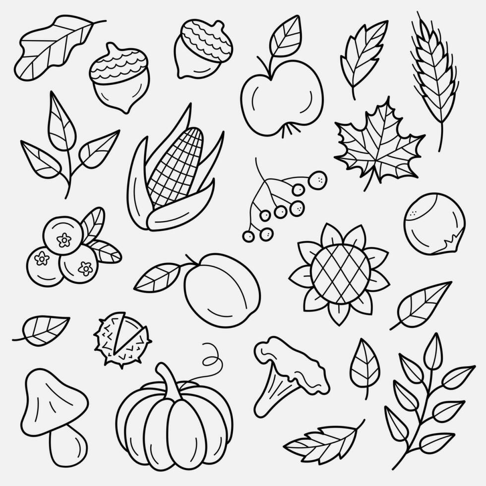 Autumn harvest symbols. Set of autumn elements. Leaves, berries, fruits, vegetables, mushrooms, acorns. Hand-drawn, sketch. Vector illustration in doodle style.