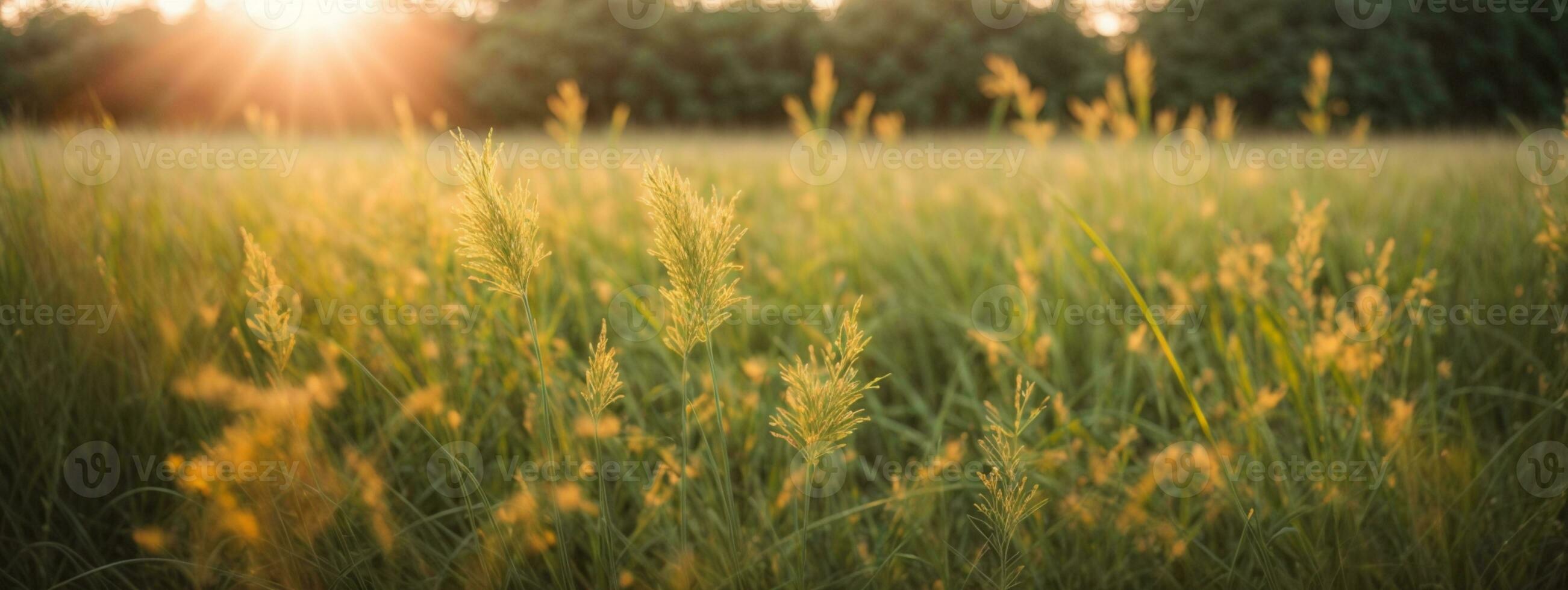 Wild grass in the forest at sunset. Macro image, shallow depth of field. Abstract summer nature background. Vintage filter. AI generated photo