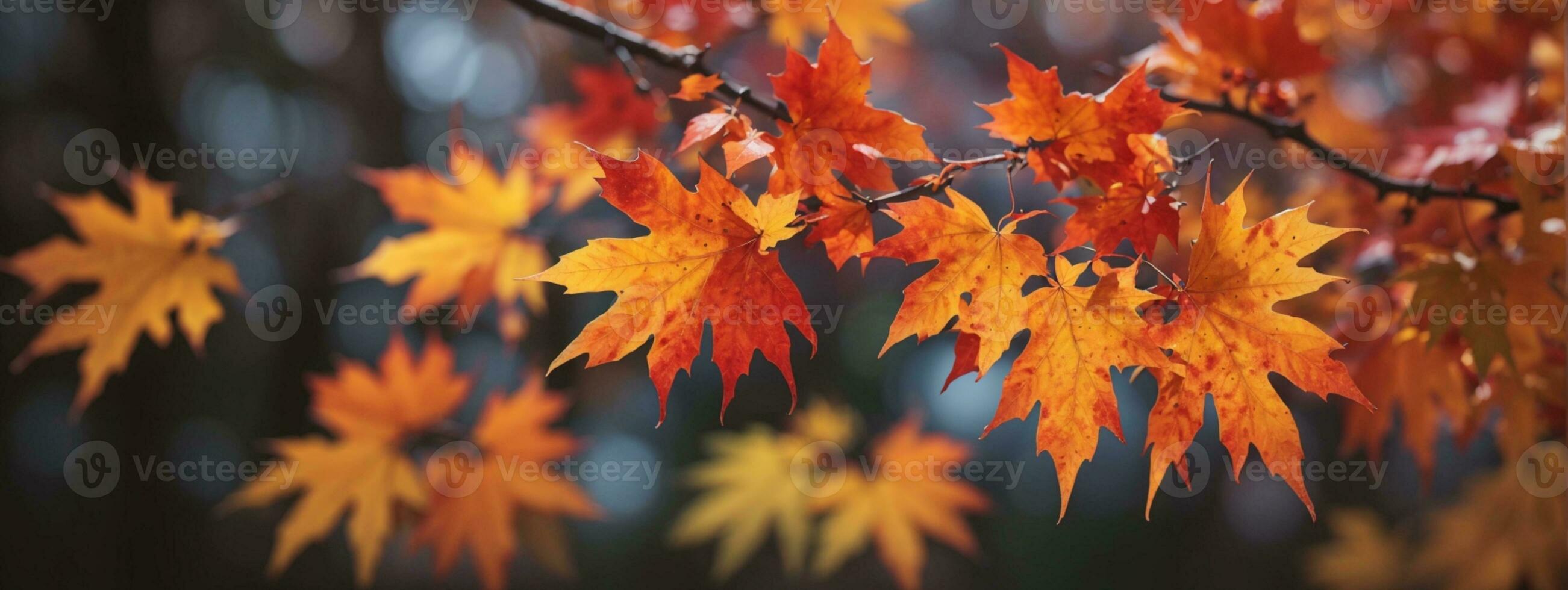 Colorful autumn maple leaves on a tree branch. AI generated photo