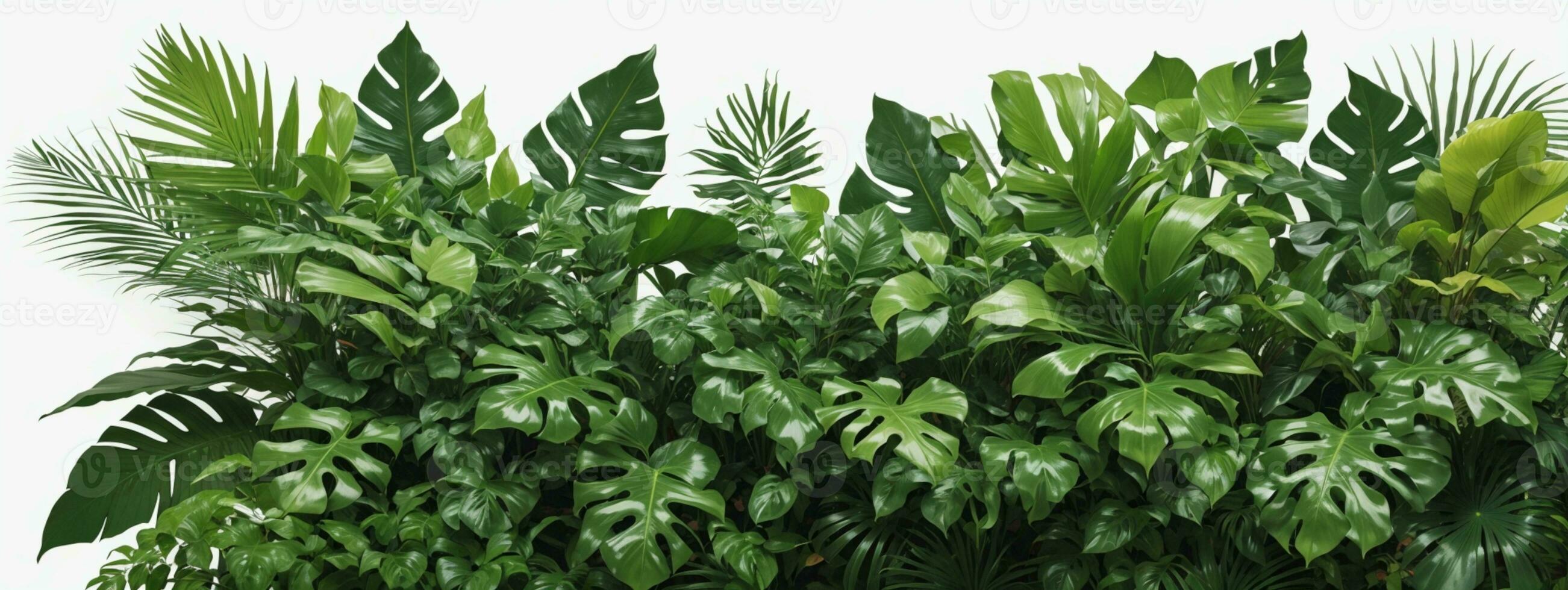 Tropical leaves foliage plant jungle bush floral arrangement nature backdrop isolated on white background, clipping path included.. AI generated photo