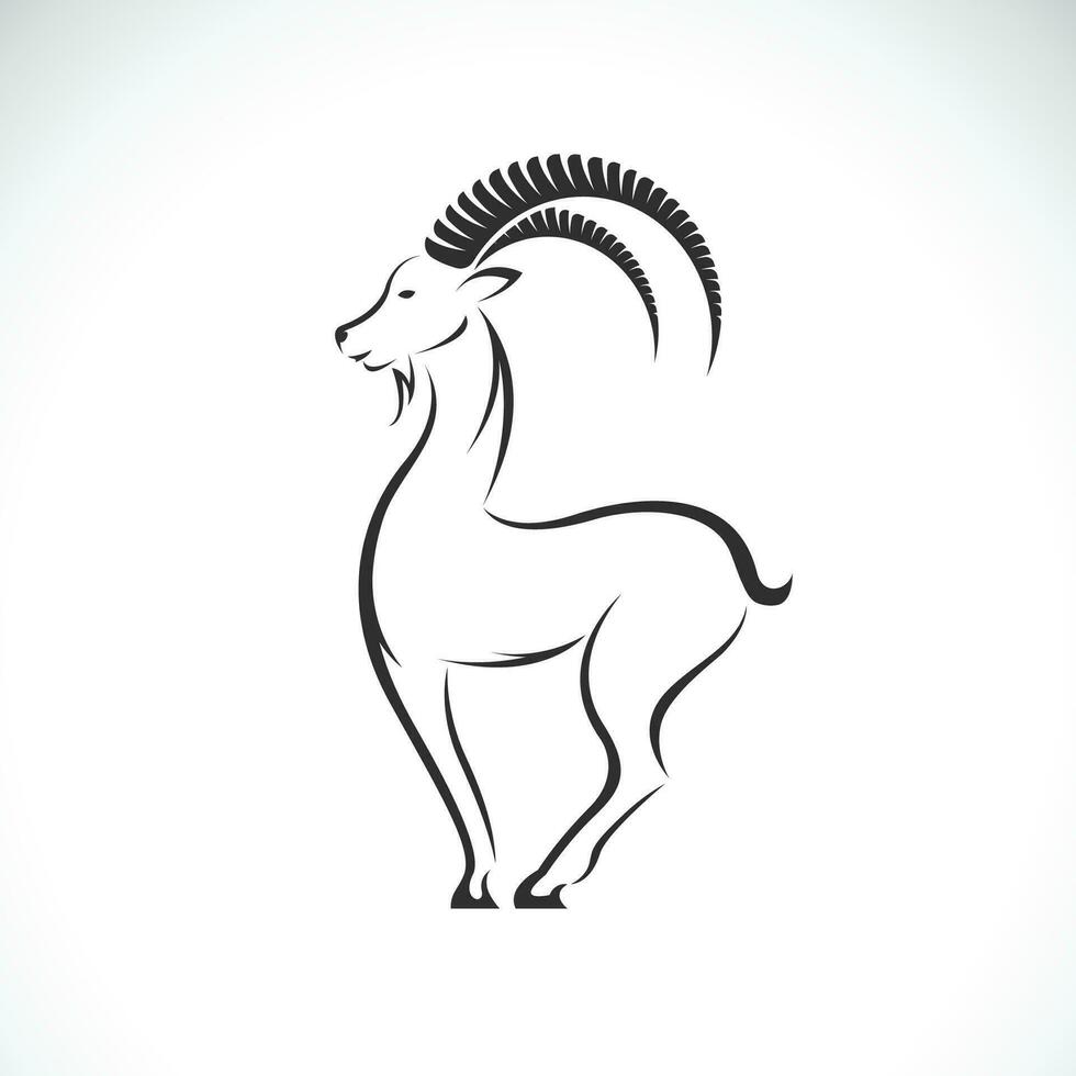 Vector of goat design on white background. Easy editable layered vector illustration. Wild animals.