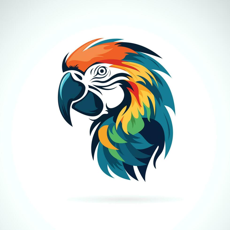 Vector of a macaw bird head design on white background. Wild Animals.