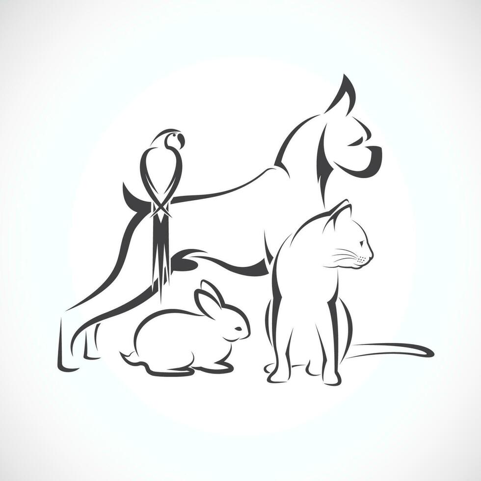 Vector group of pets - Dog, cat, bird, rabbit, isolated on white background. Easy editable layered vector illustration.