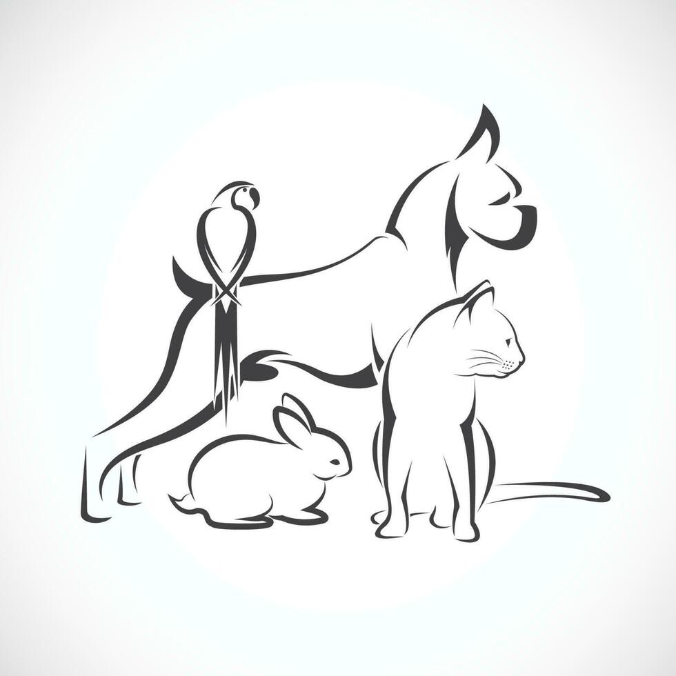 vector grupo de mascotas - perro, gato, pájaro, conejo, aislado en blanco antecedentes. fácil editable en capas vector ilustración.