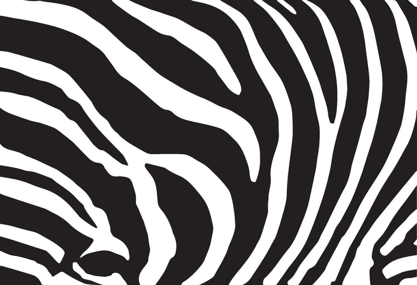 Abstract background skin of a zebra, white and black color vector
