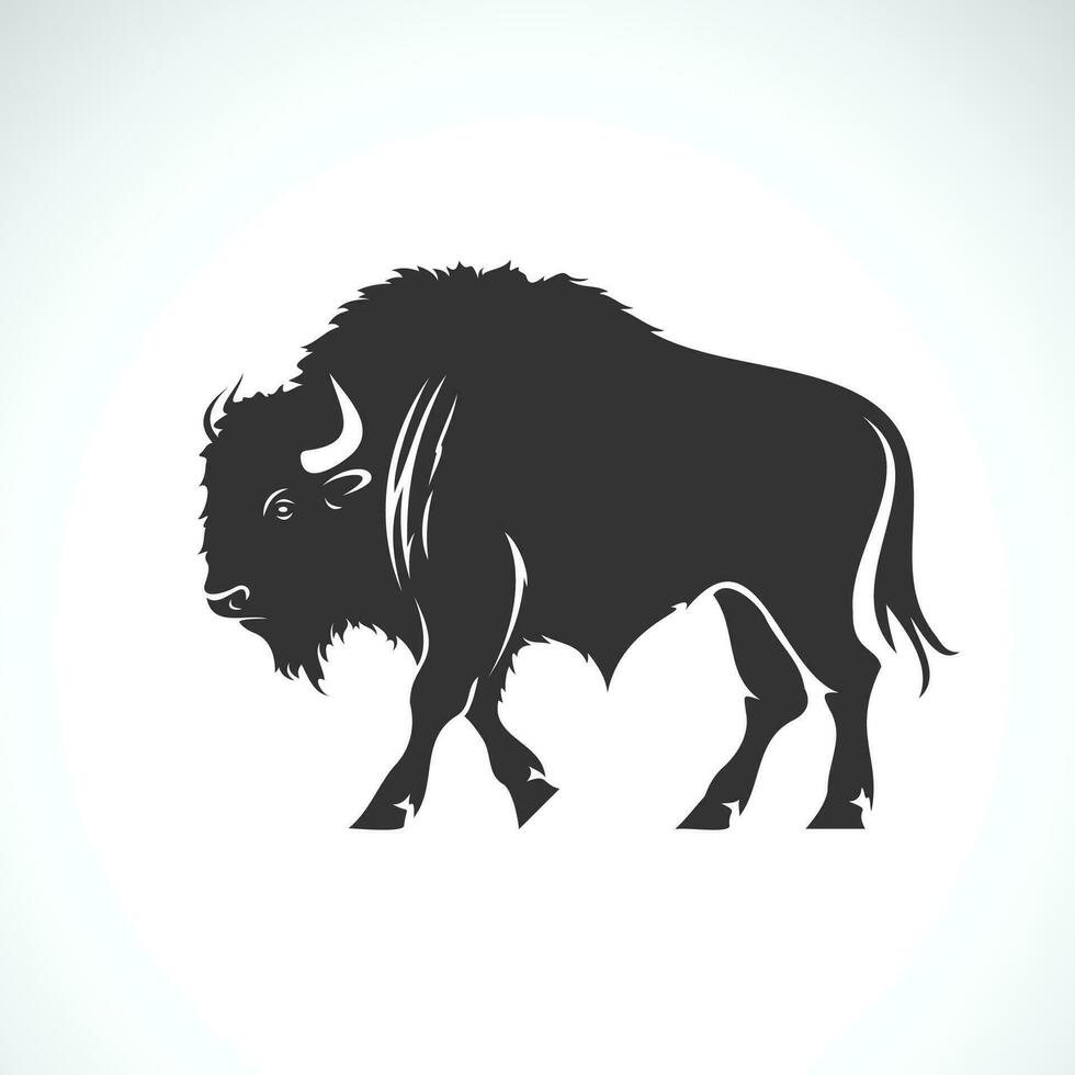 Vector of a bison design on white background. Wild Animals. Vector illustration.