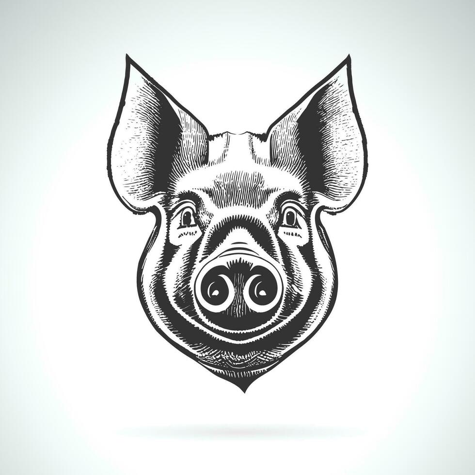 Vector of pig head design on white background. Easy editable layered vector illustration. Farm Animals.