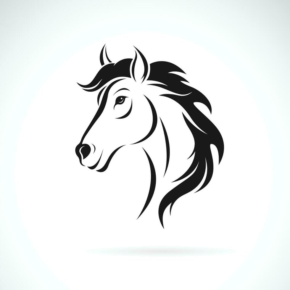 vector de un caballo cabeza diseño en blanco antecedentes. fácil editable en capas vector ilustración. mascotas. salvaje animales