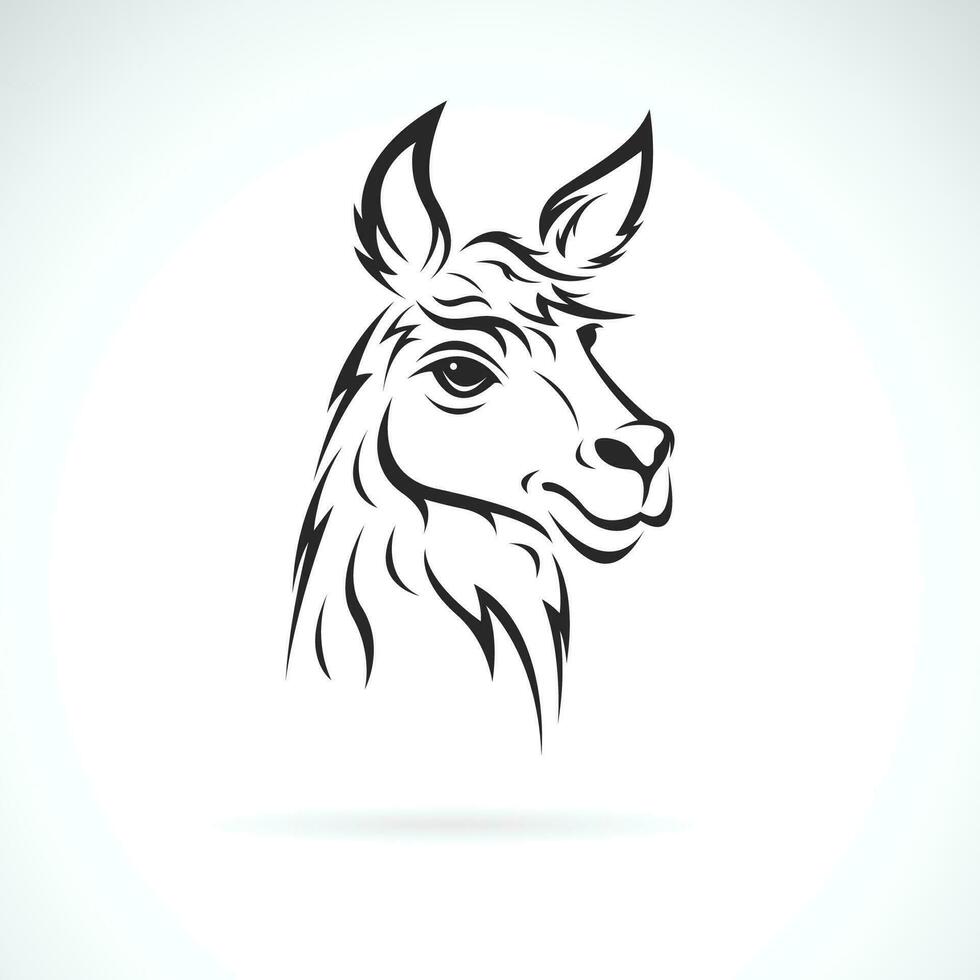 Vector of a llama head design on white background. Easy editable layered vector illustration. Wild Animals.