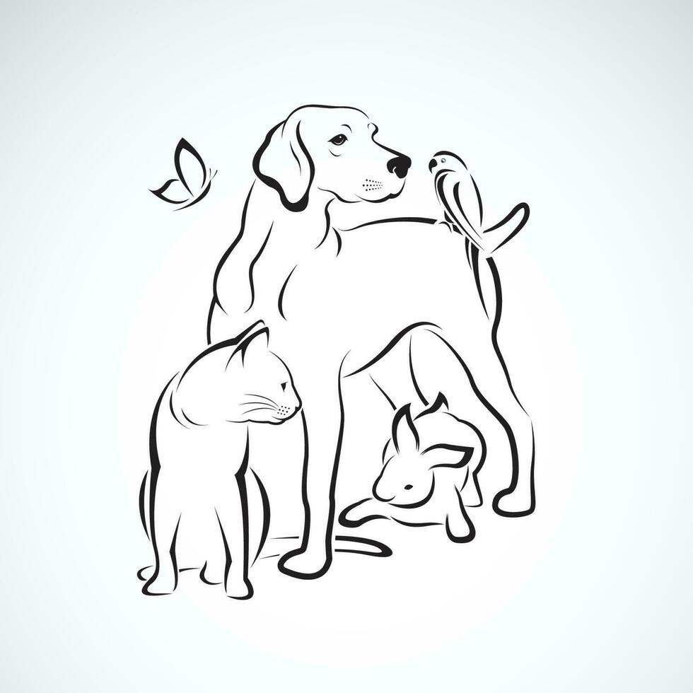 Vector group of pets - Dog, cat, parrot, rabbit, butterfly, isolated on white background. Pet. Animals. Easy editable layered vector illustration.