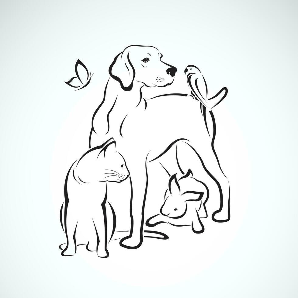 vector grupo de mascotas - perro, gato, loro, conejo, mariposa, aislado en blanco antecedentes. mascota. animales fácil editable en capas vector ilustración.