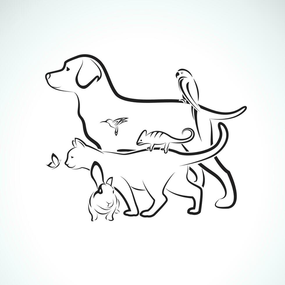 Vector group of pets - Dog, Cat, Parrot, Rabbit, Butterfly, Hummingbird, isolated on white background. Pet. Animals. Easy editable layered vector illustration. Pet group.