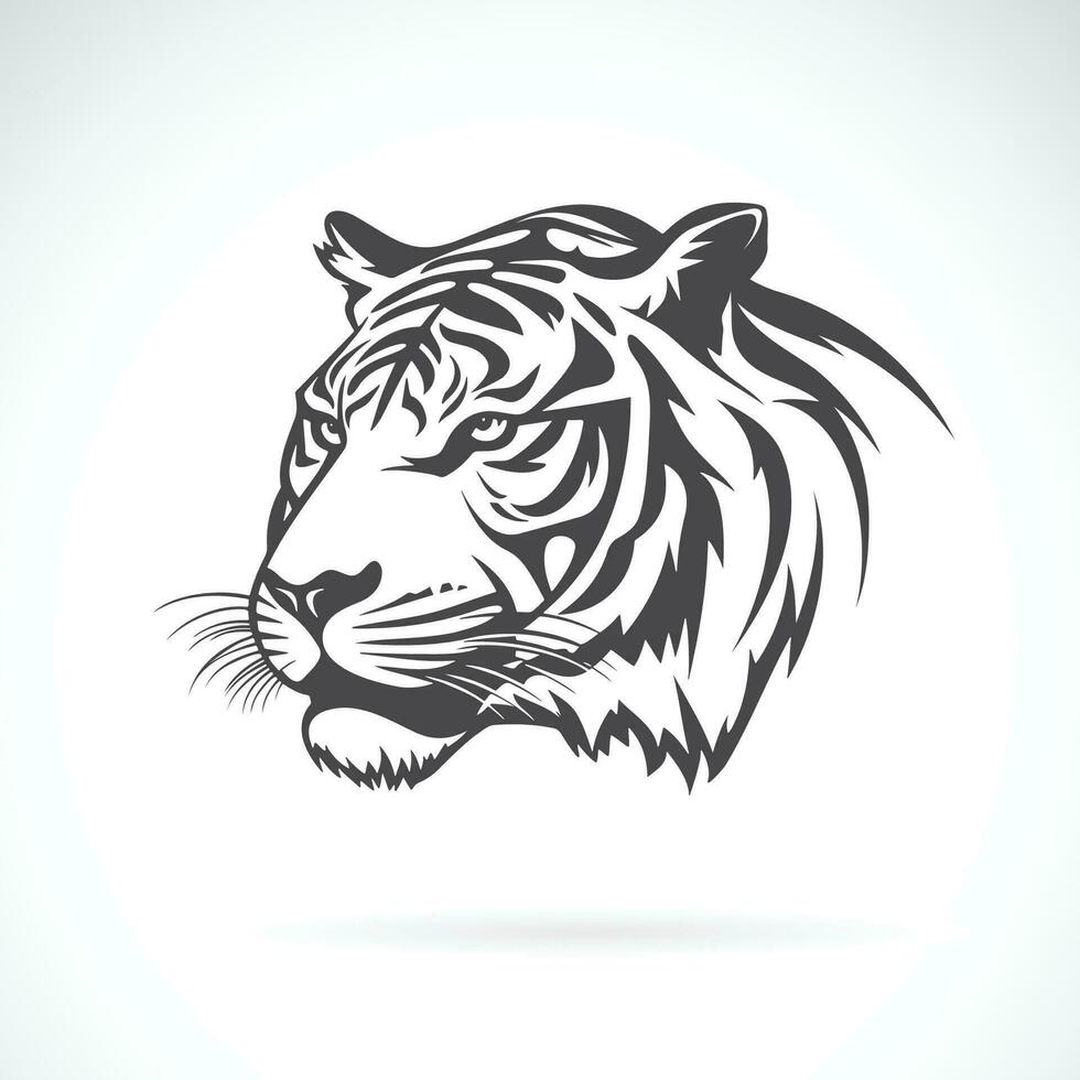 Vector of tiger head on white background. Wild Animals. Easy editable layered vector illustration.