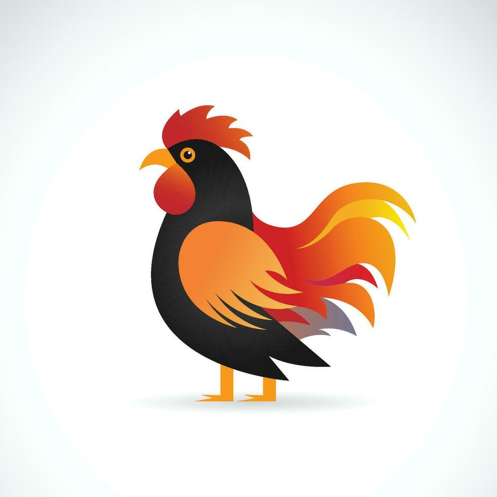 vector de un gallina diseño en blanco antecedentes. fácil editable en capas vector ilustración. granja animales