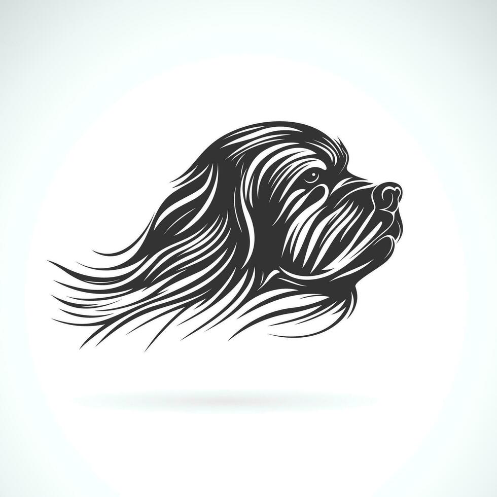 vector de shih tzu perro cabeza diseño en blanco antecedentes. fácil editable en capas vector ilustración. mascota.