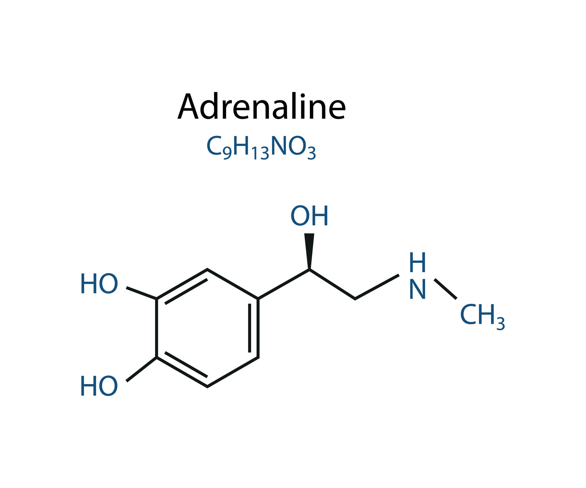 Chemical formula of adrenaline molecule skeletal vector illustration ...