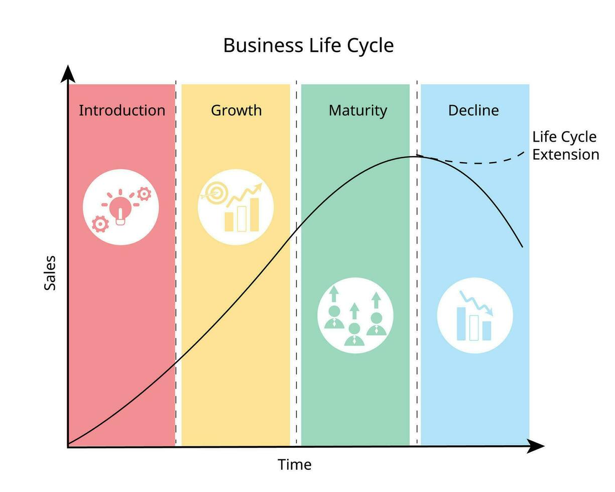 business life cycle follows a product from creation to maturity and decline with icon vector