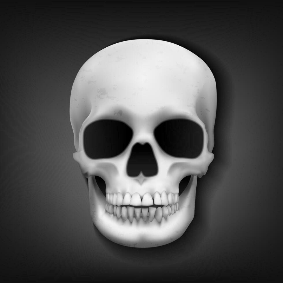 Realistic Skull Head on Dark Background, Vector Illustration