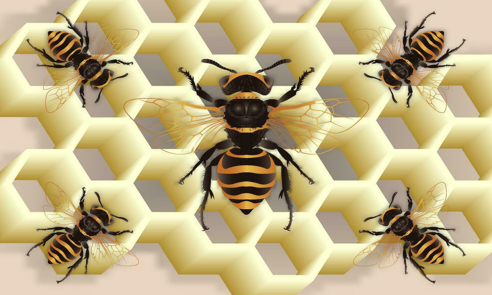 Vector illustration of 3d bee background with honeycomb.