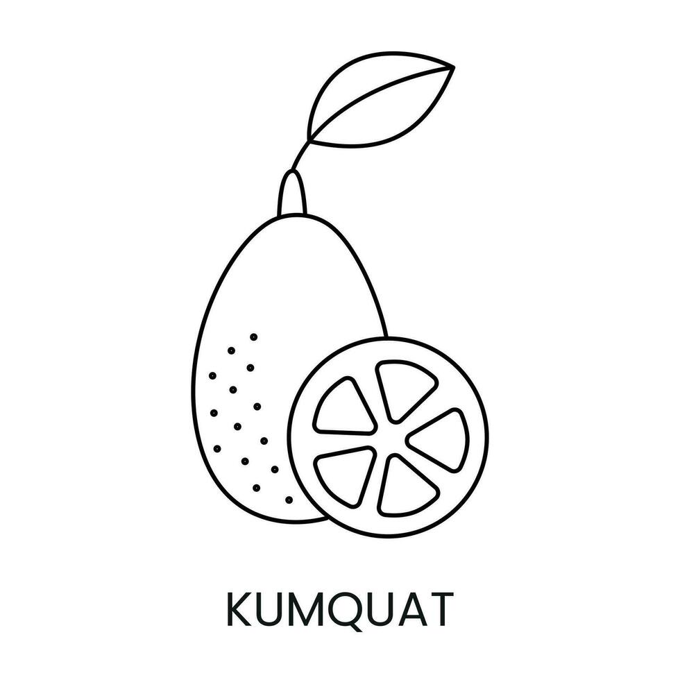 Citrus fruit Kumquat, line icon in vector to indicate on food packaging about the presence of this allergen.