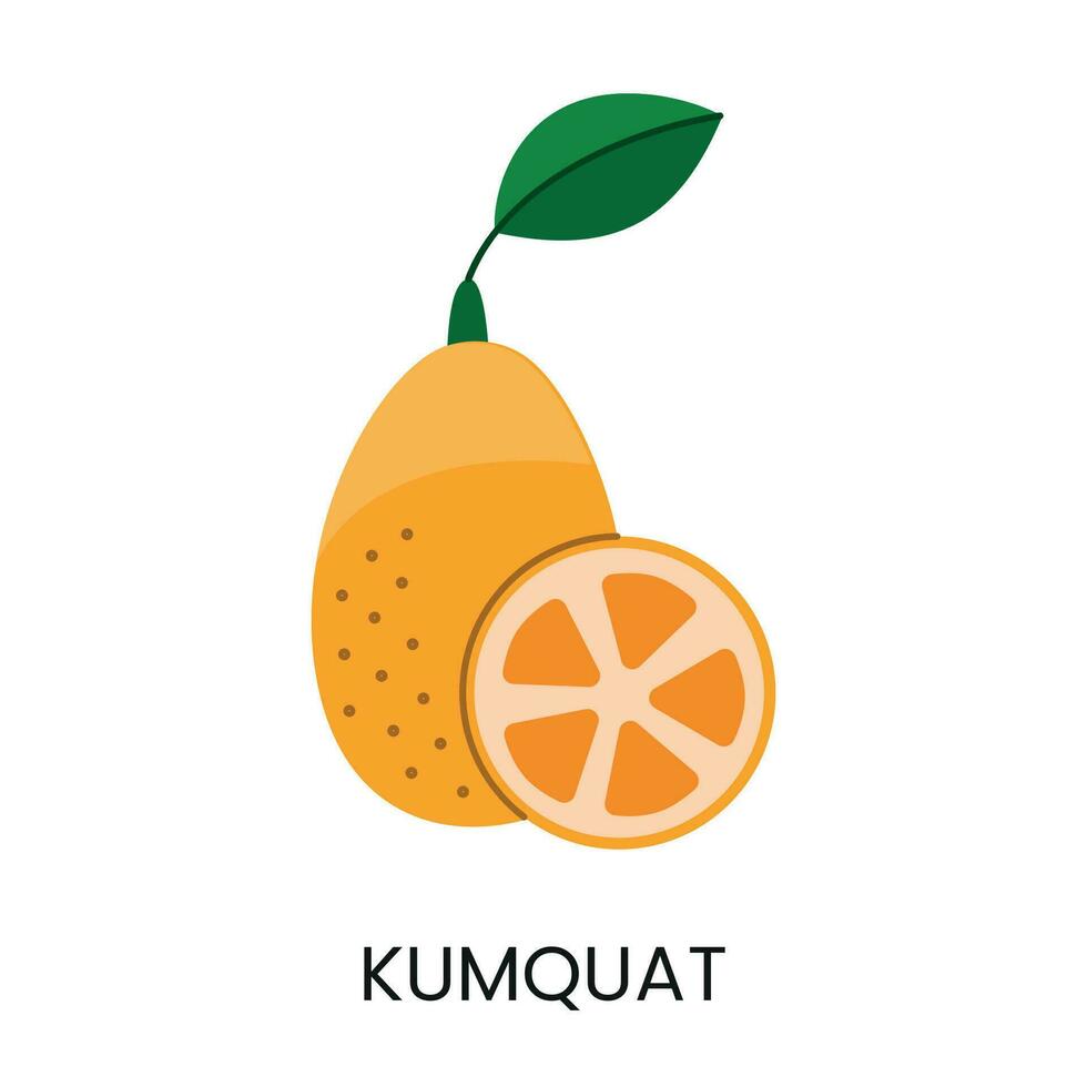 Vector illustration of Kumquat, conveying juiciness and vibrant color. Ideal for fresh and lively designs.