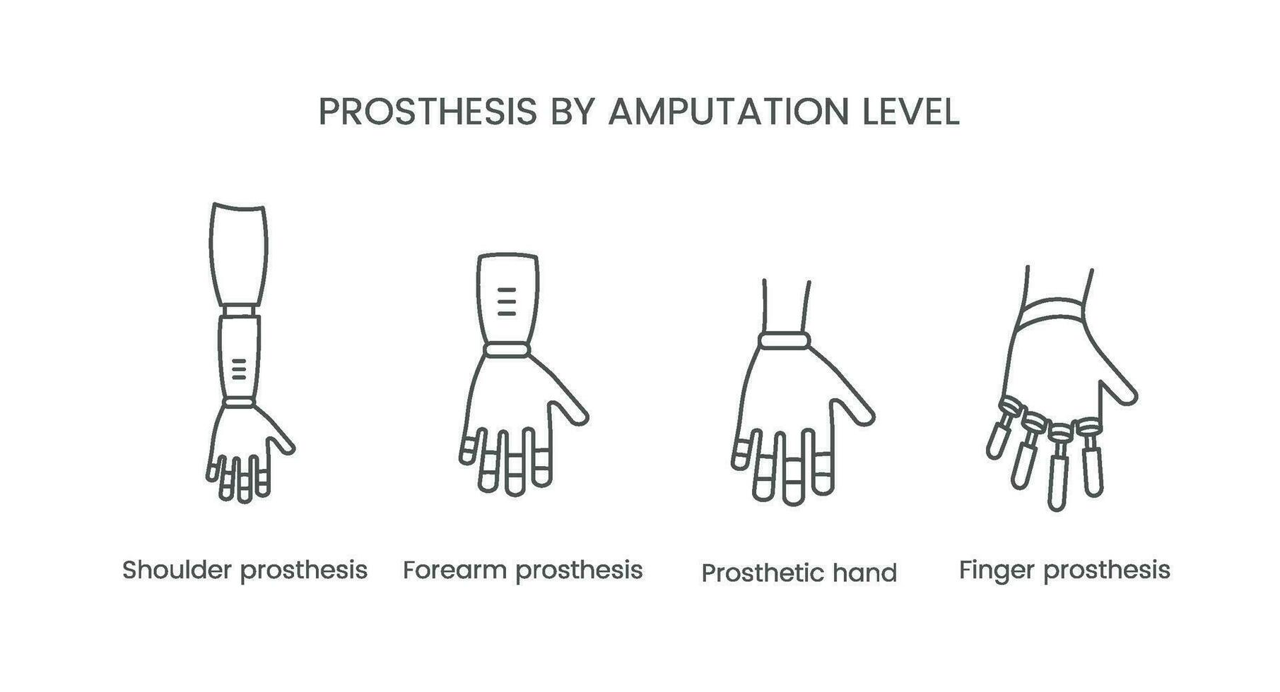 The level of amputation of the arm. Prosthetic vector line icon