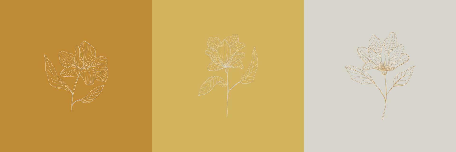 flower minimal illustration vector