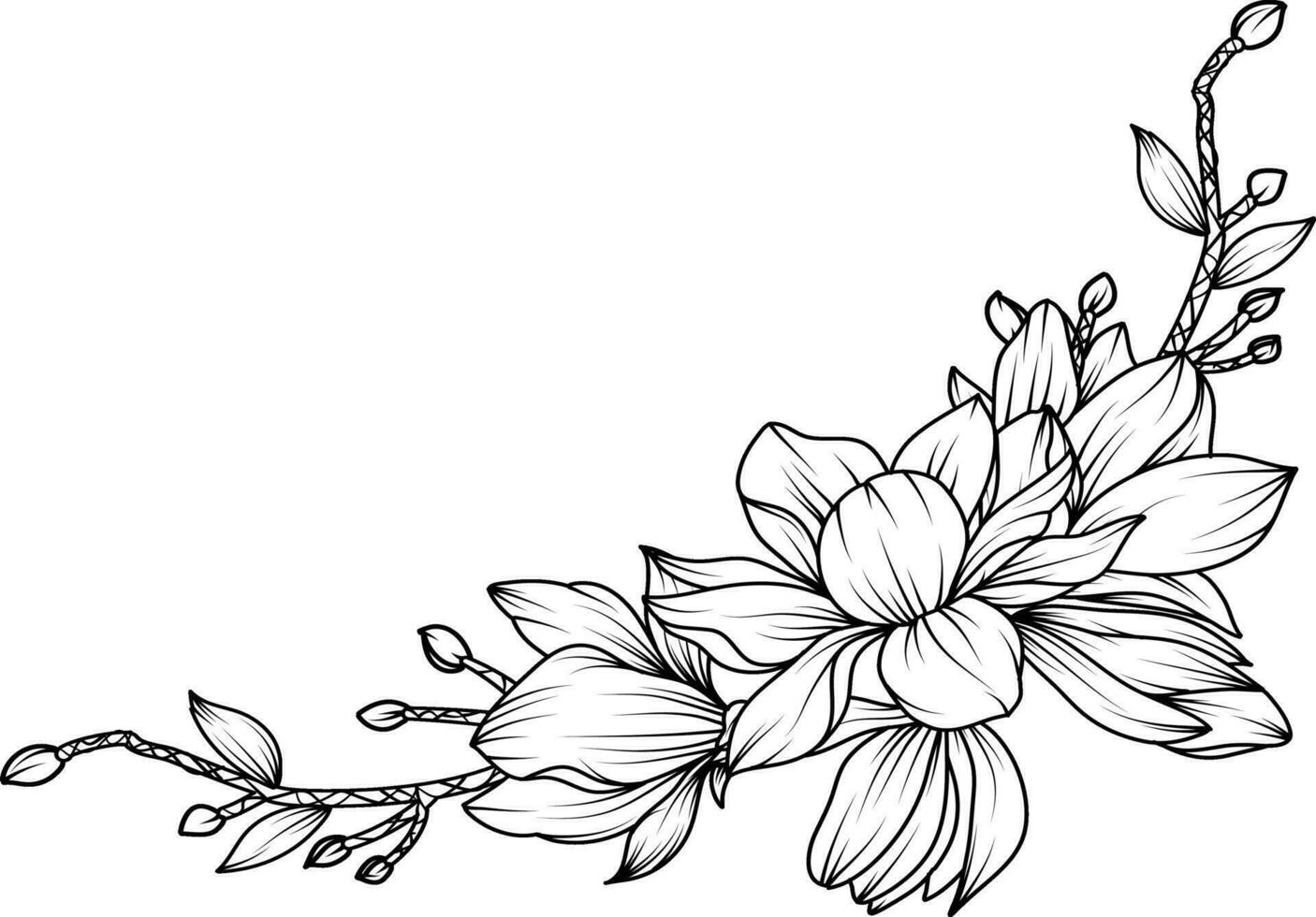 Magnolia Flower. sketch with black and white line art of magnolia flowers. vector