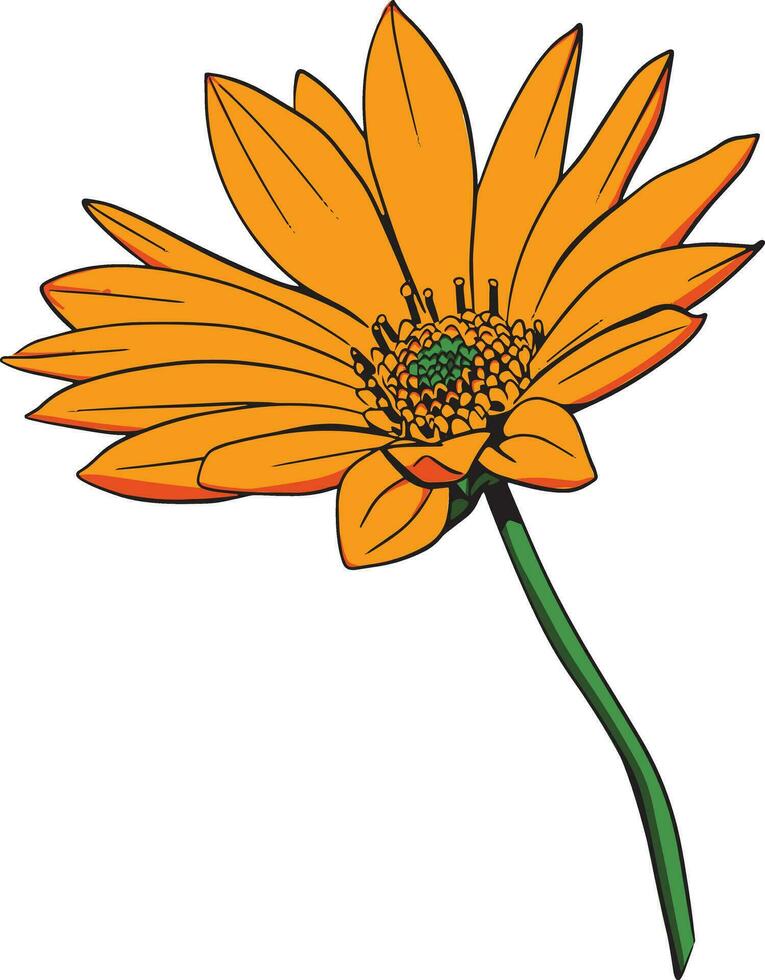 Hand drawn orange flower vector