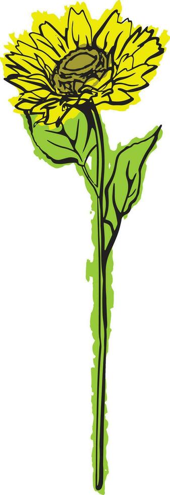 Hand Drawn Sunflower vector