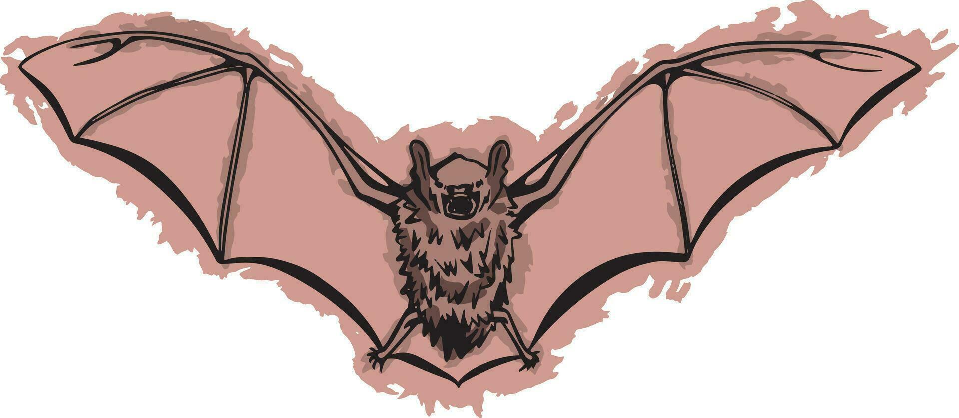 Hand Drawn Bat vector