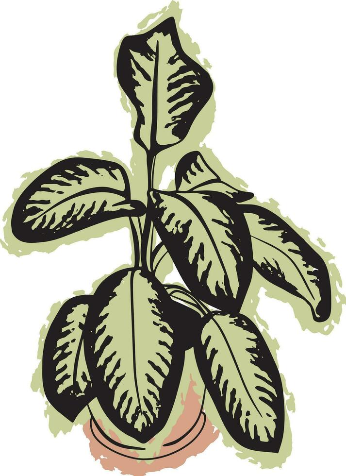 mano dibujado planta vector