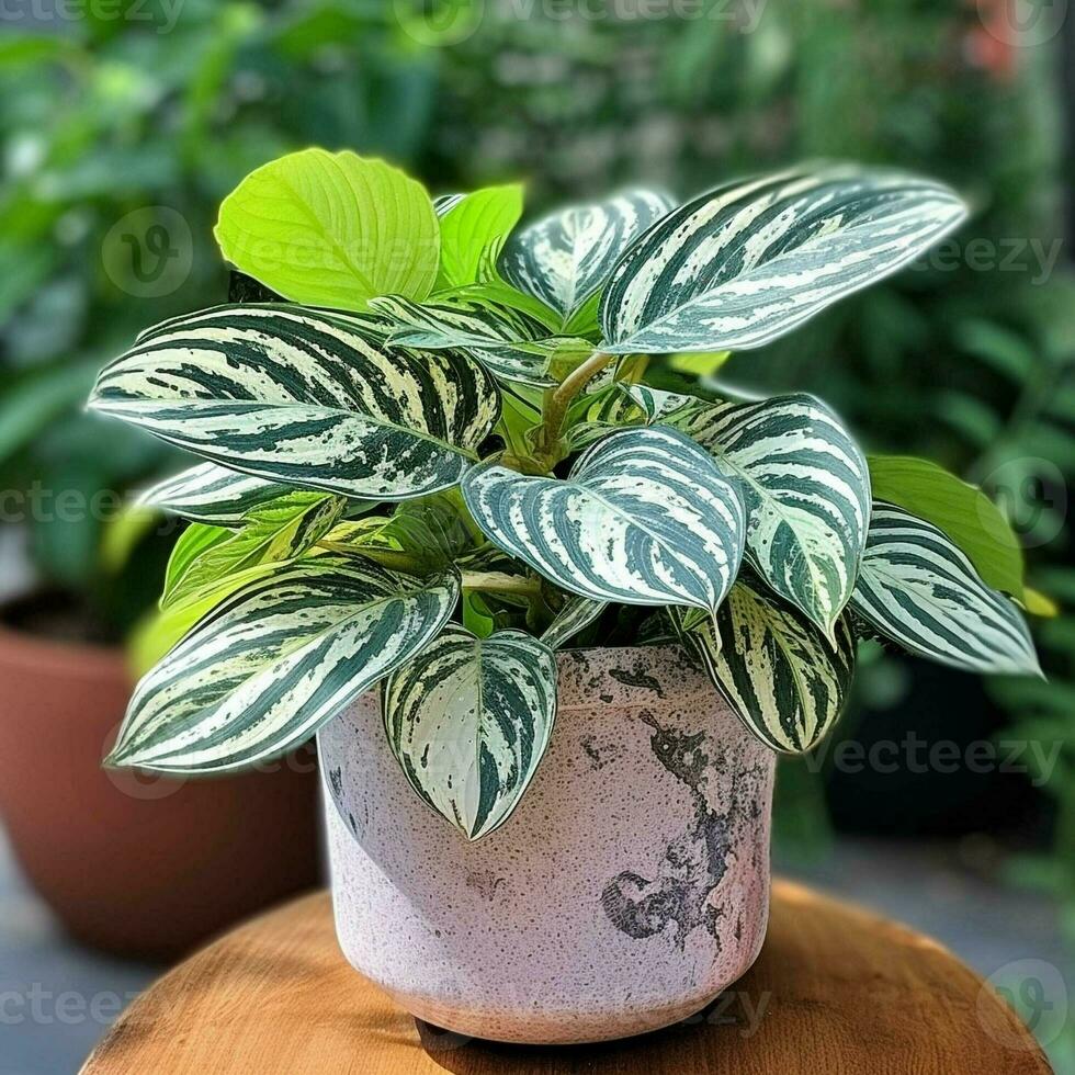 green plant in the pot on table. generative ai. photo