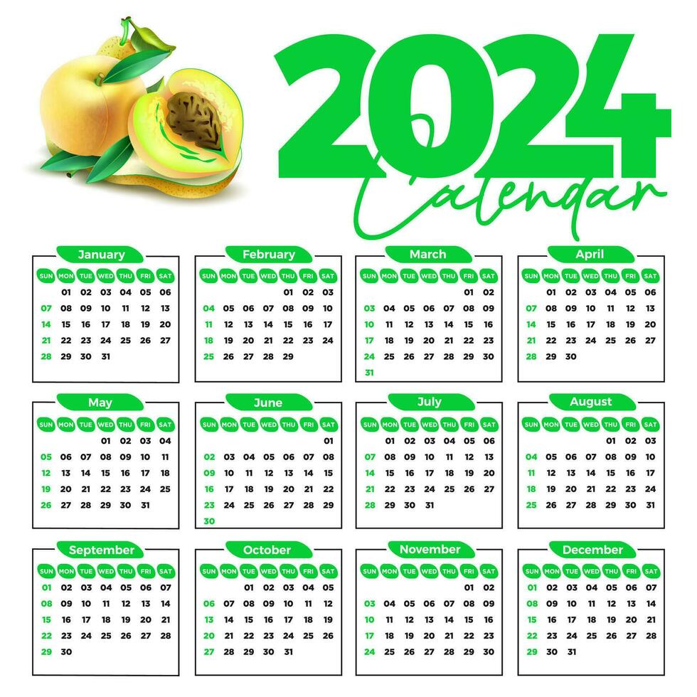 2024 calendar design template for happy new year vector