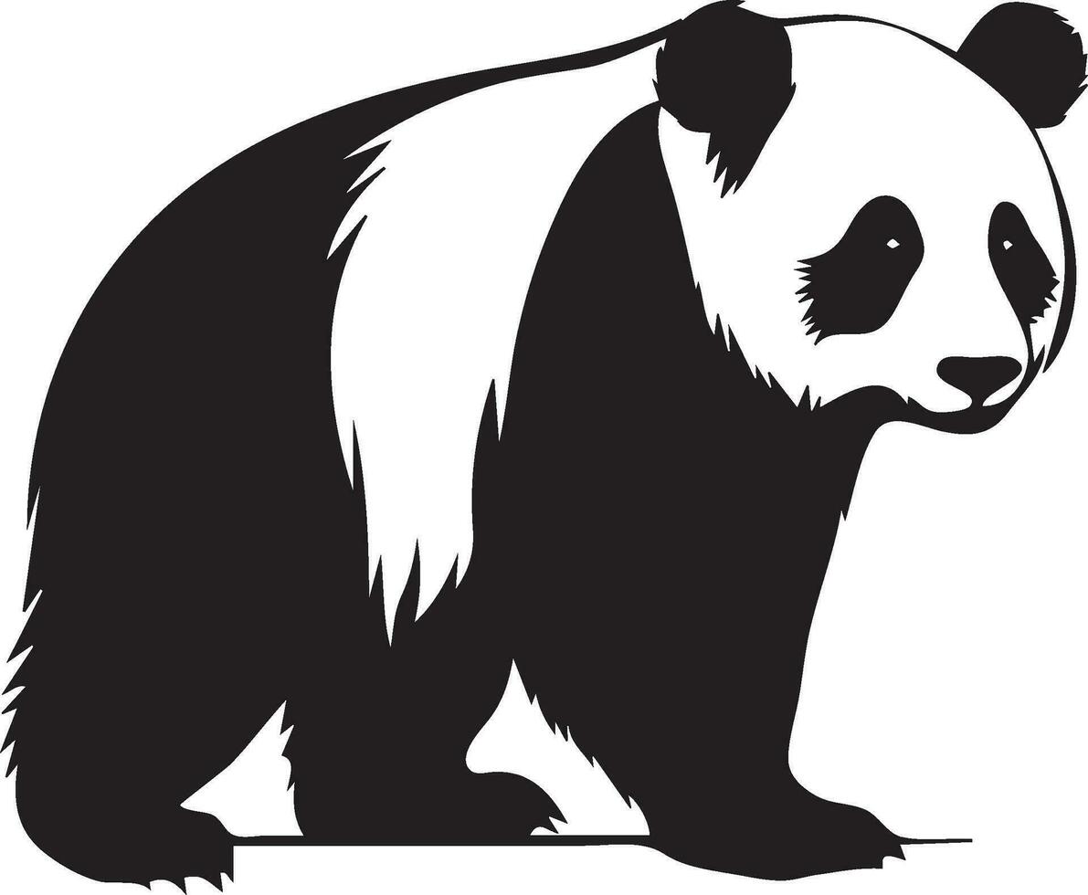 panda bear vector wild animal