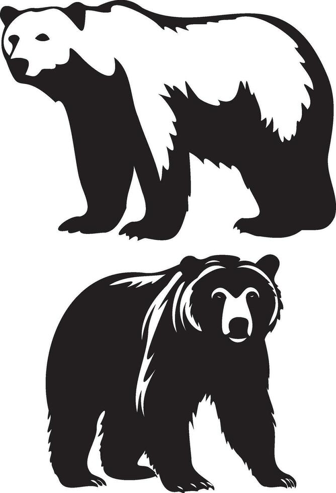 illustration of a bear wild animal vector