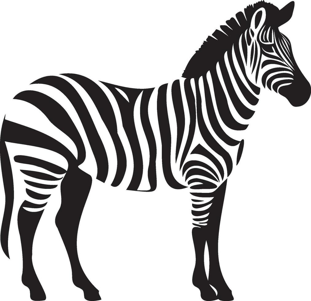 Zebra on a white background vector