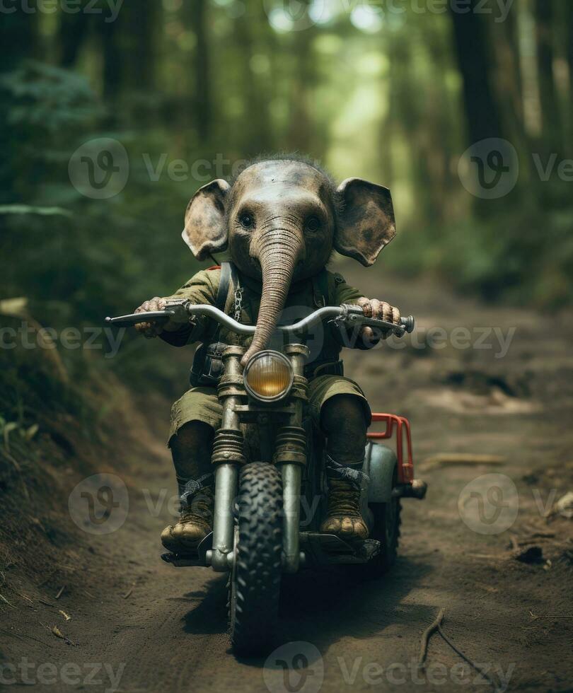 a cute baby elephant on a minibike riding through a forest photo