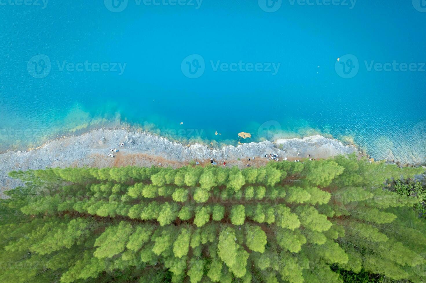 Aerial view of pine garden with blue lake at Phang nga, Thailand photo