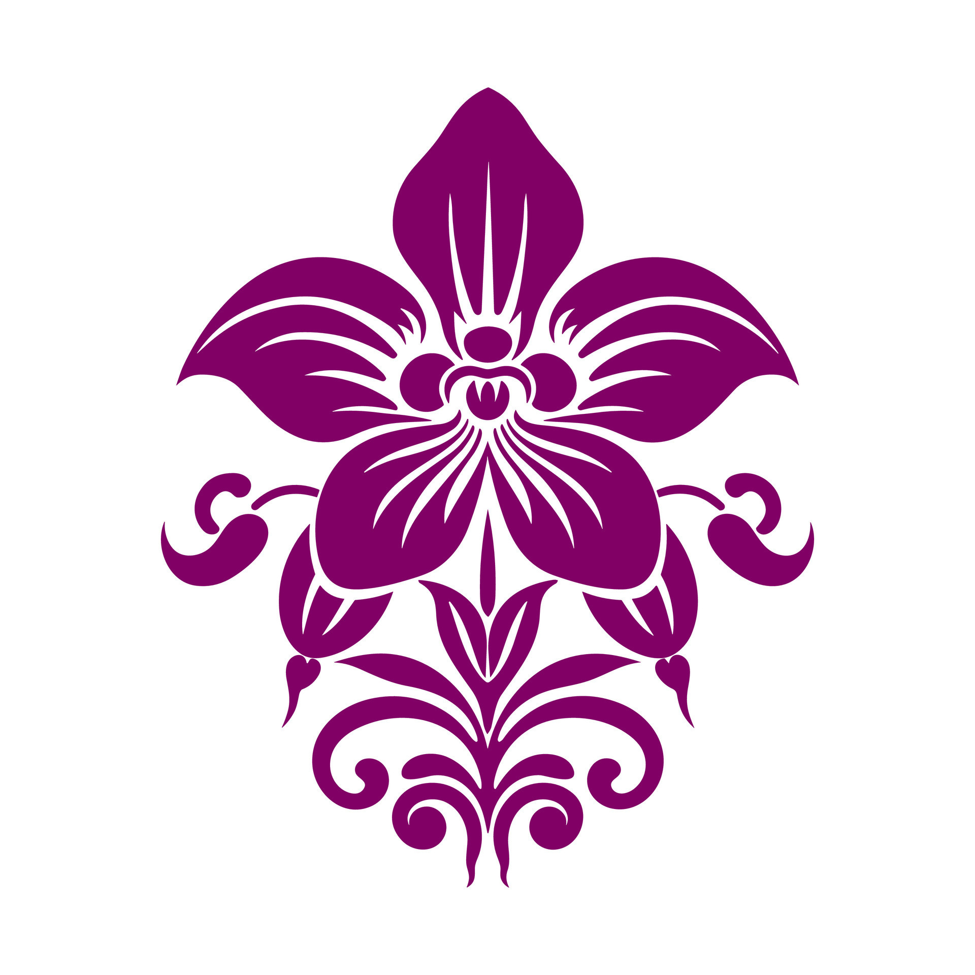 A beautiful purple orchid flower with ornamental leaves on a white