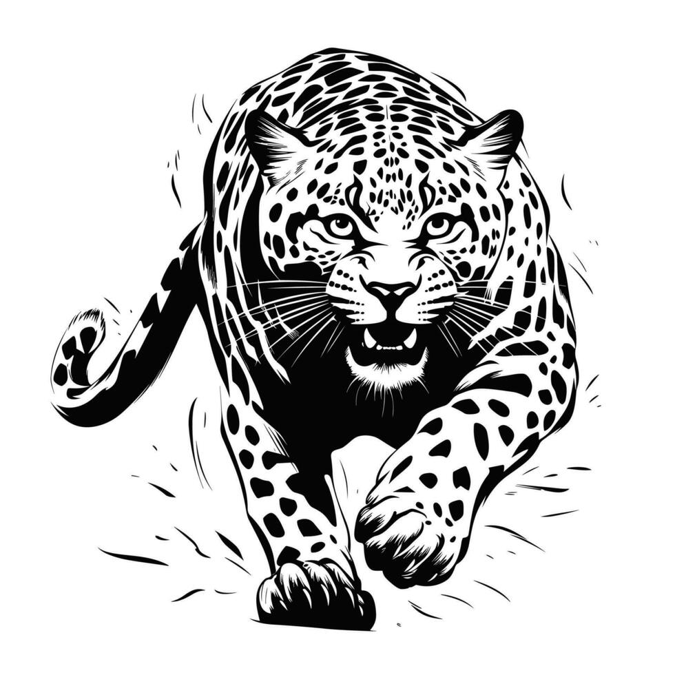 Predatory jaguar sneaking up on its prey. Black and white vector illustration, isolated on white background.