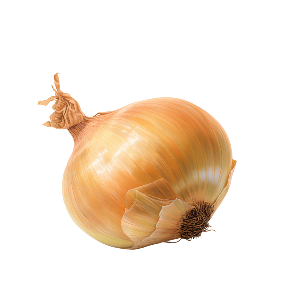 Onion, Onion Png, Onion With Transparent Background, AI Generative