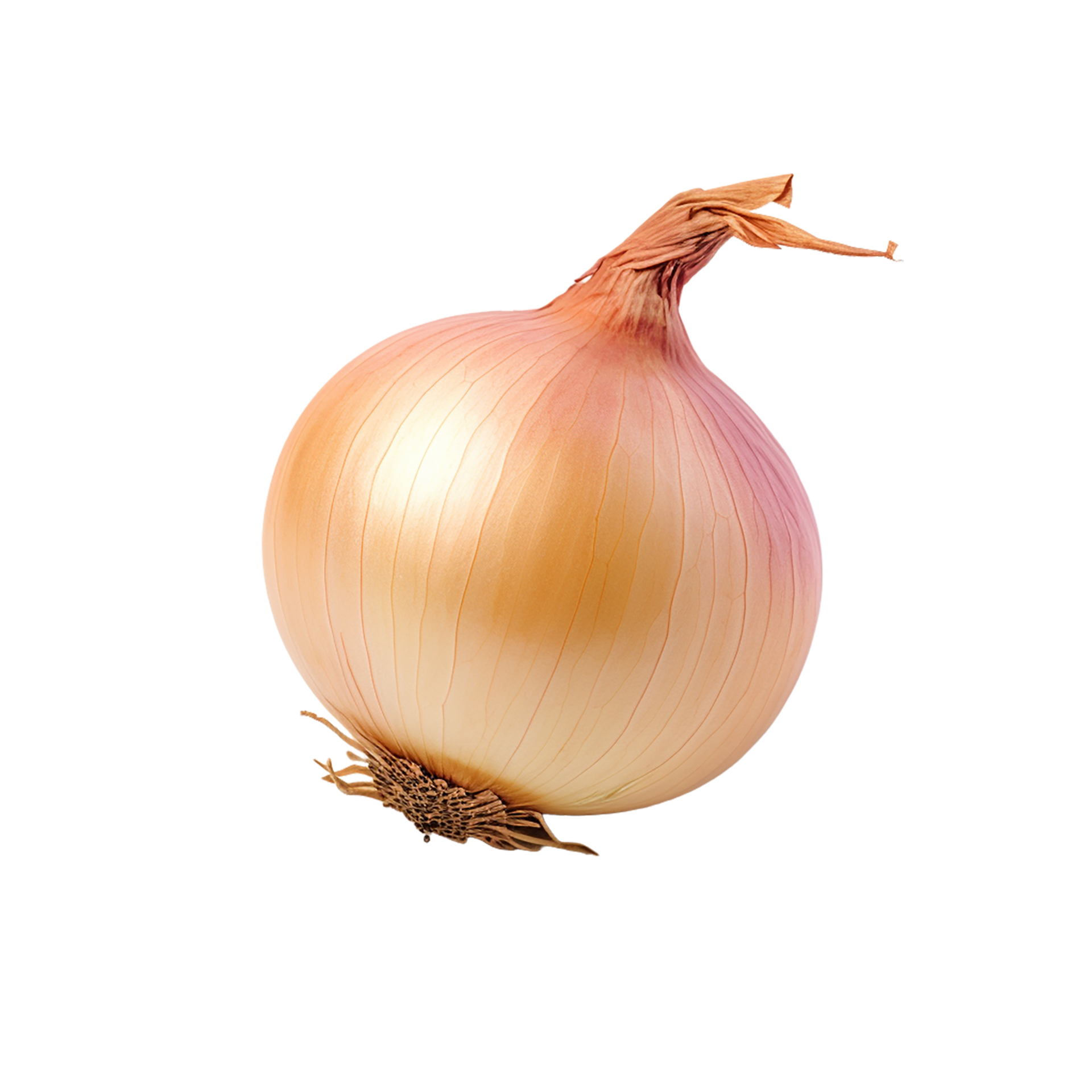 Onion, Onion Png, Onion With Transparent Background, AI Generative