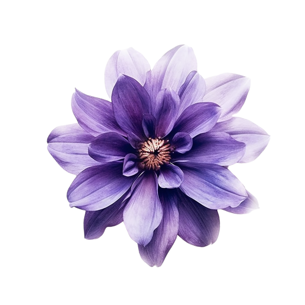 Purple Flower, Purple Flower Png, Purple Flower With Transparent Background, AI Generative png