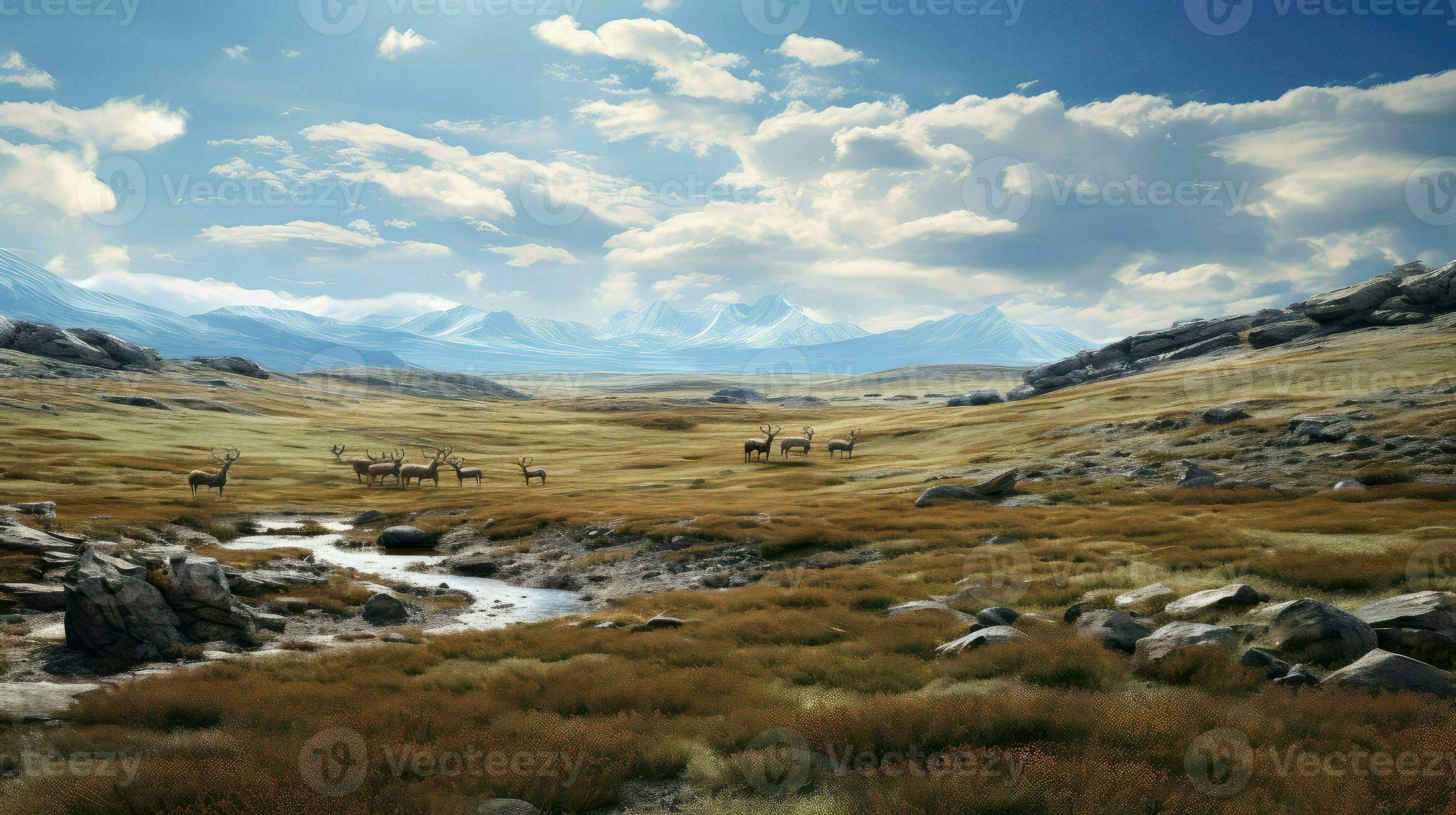 日本未入荷-2サイズ♪ウォールアート-Tundra Landscapes 67 Arctic Fox Tundra Landscape Stock Vectors and Vector Art