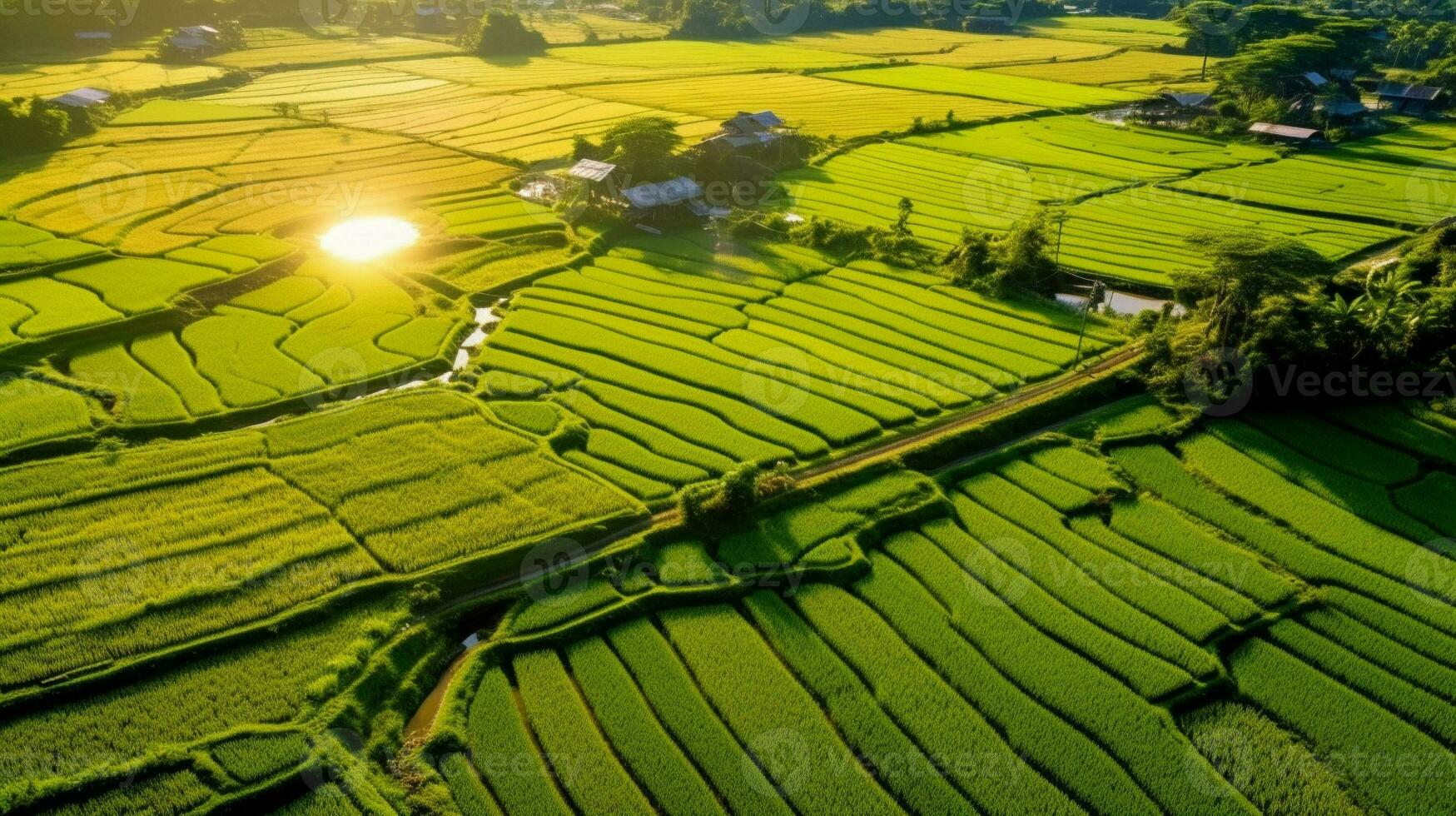 Aerial image of  rice fileds. generative ai. photo